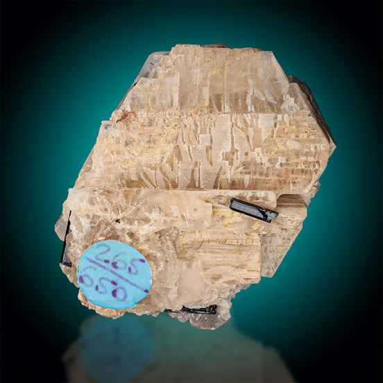 Epididymite-Mount Malosa | Zomba Plateau | Chilwa Alkaline Area | Malawi